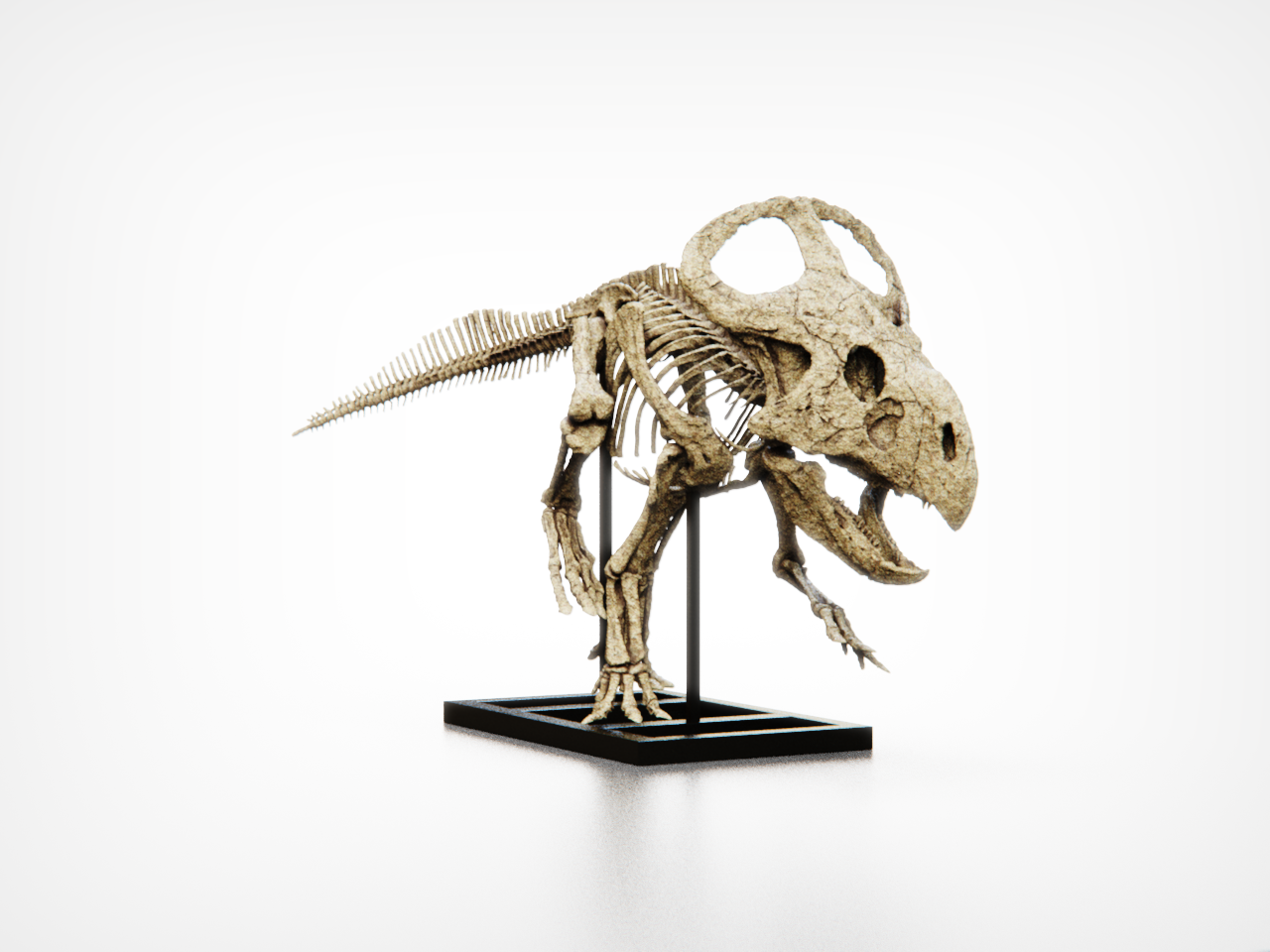 Protoceratops