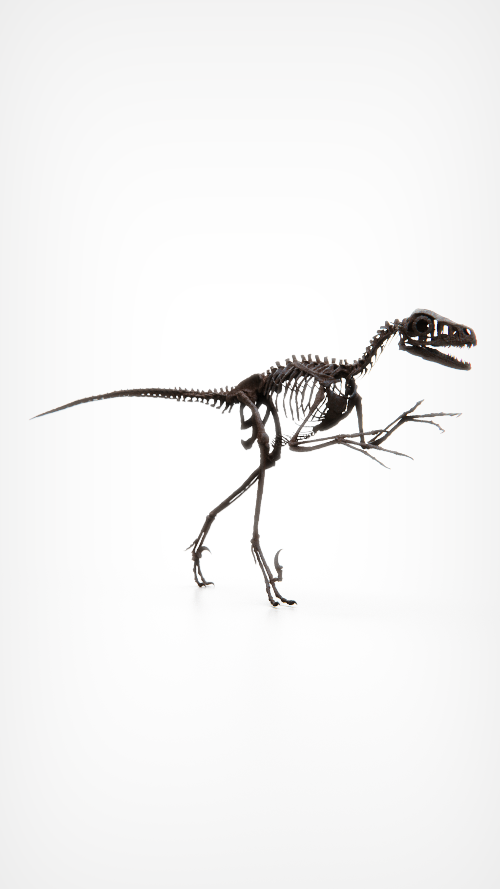 Bambiraptor Killing Claw Foot - Mounted on bespoke steel stand.