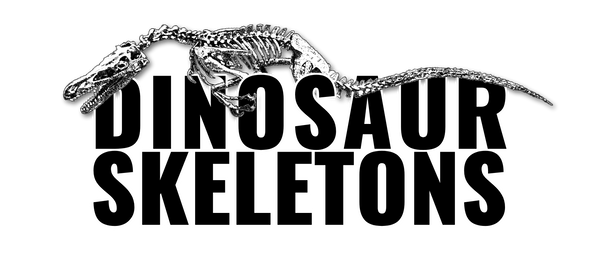 DINOSAUR SKELETONS