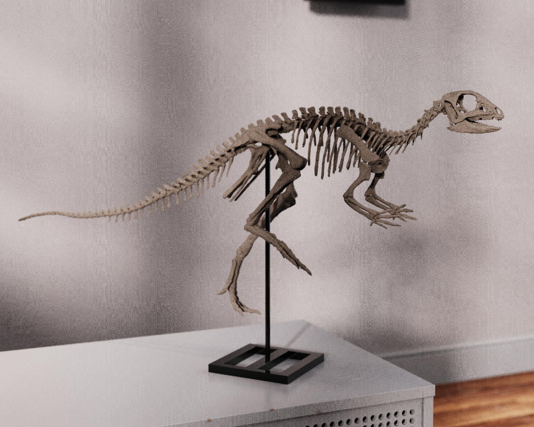 Jeholosaurus Skull