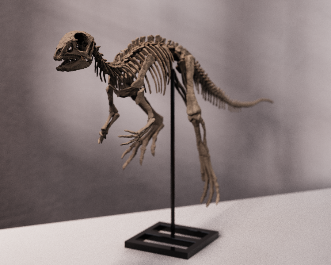 Jeholosaurus Skull