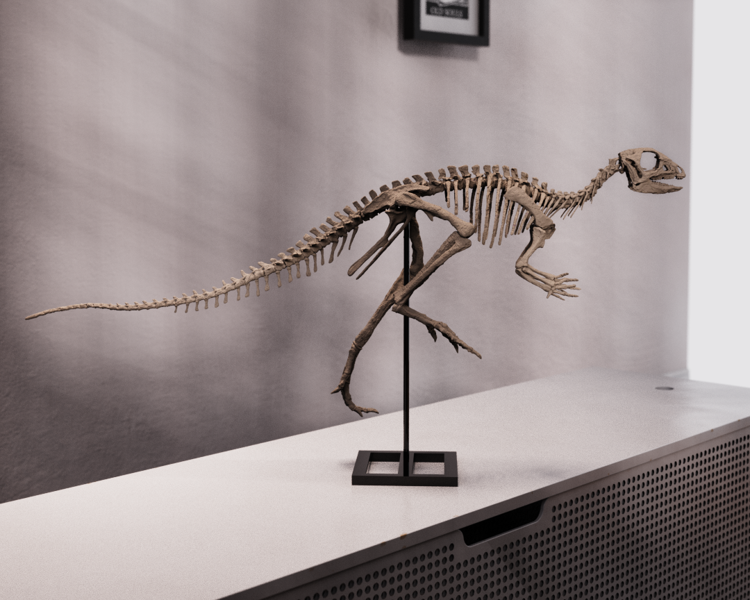 Jeholosaurus Skull