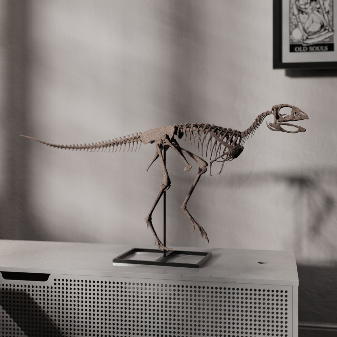 Berthasaura