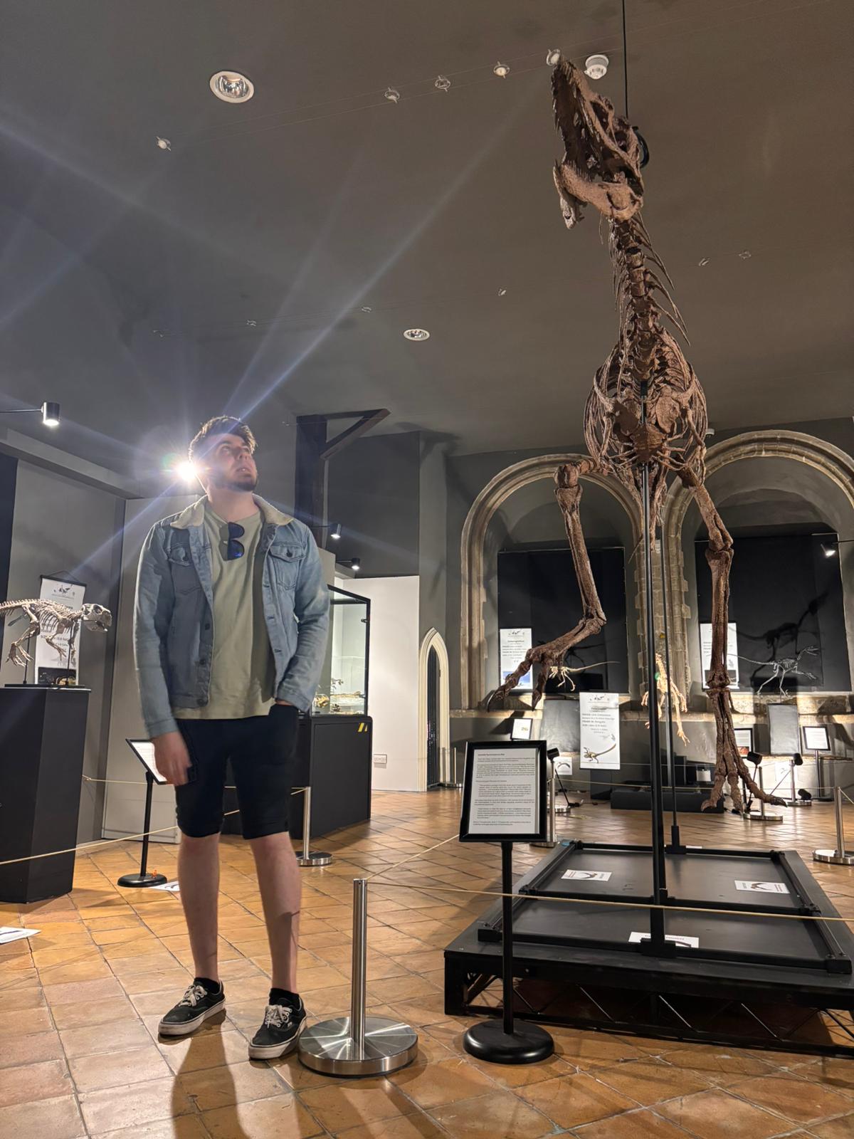 Juvenile Tyrannosaur