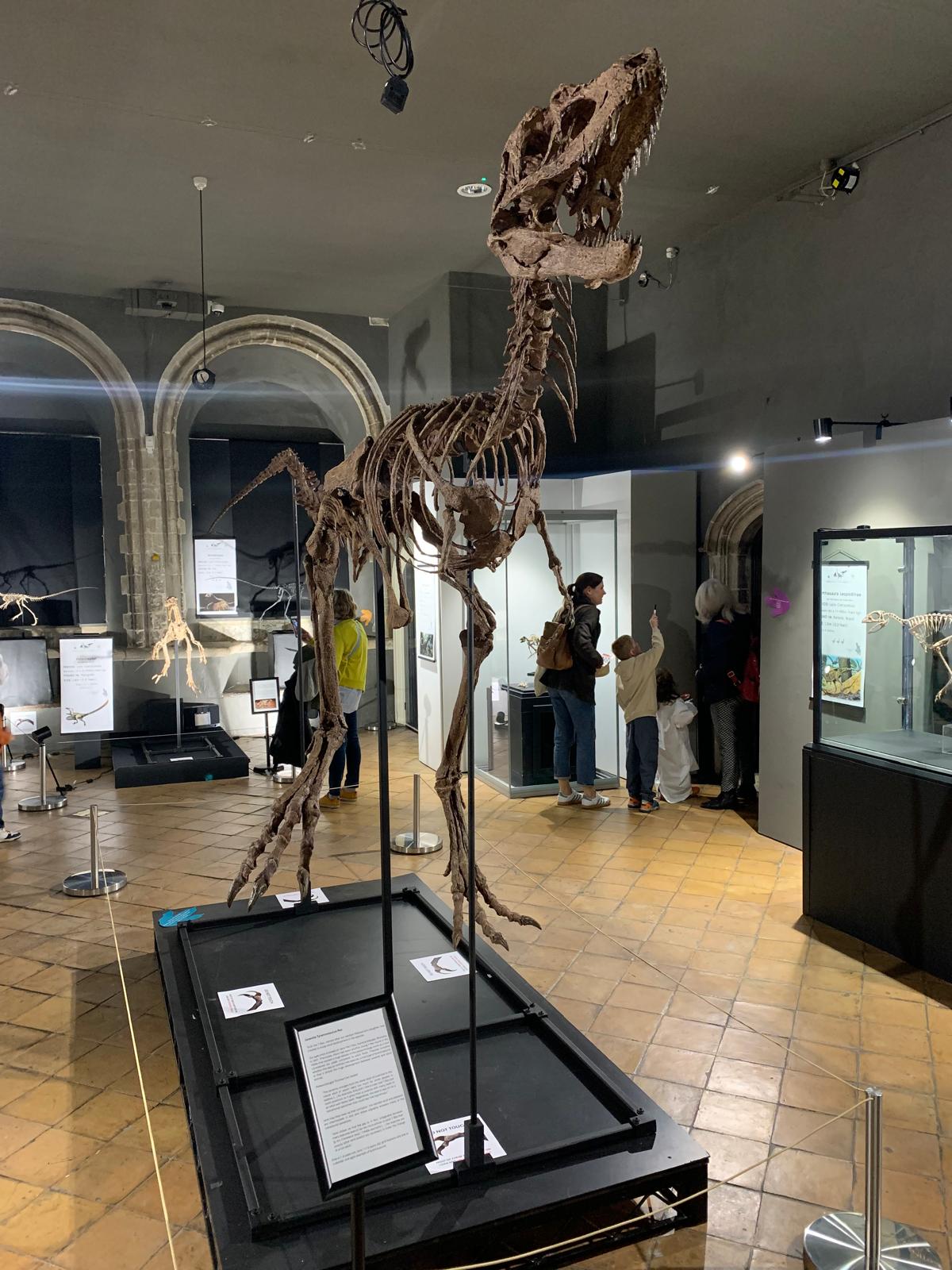 Juvenile Tyrannosaur