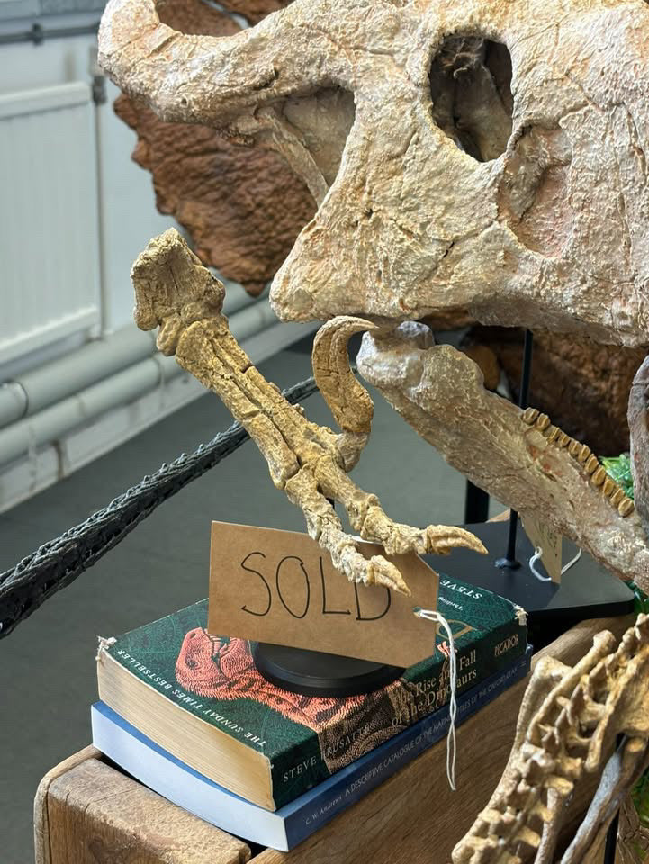 Raptor Killing foot (SHRI RAPAX)