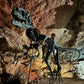 Allosaurus fragilis Skull 1:2 Scale