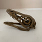 Microraptor Skull