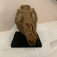 Nanotyrannus Skull -Desktop collectible  (22cm length)