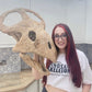 Protoceratops Skull