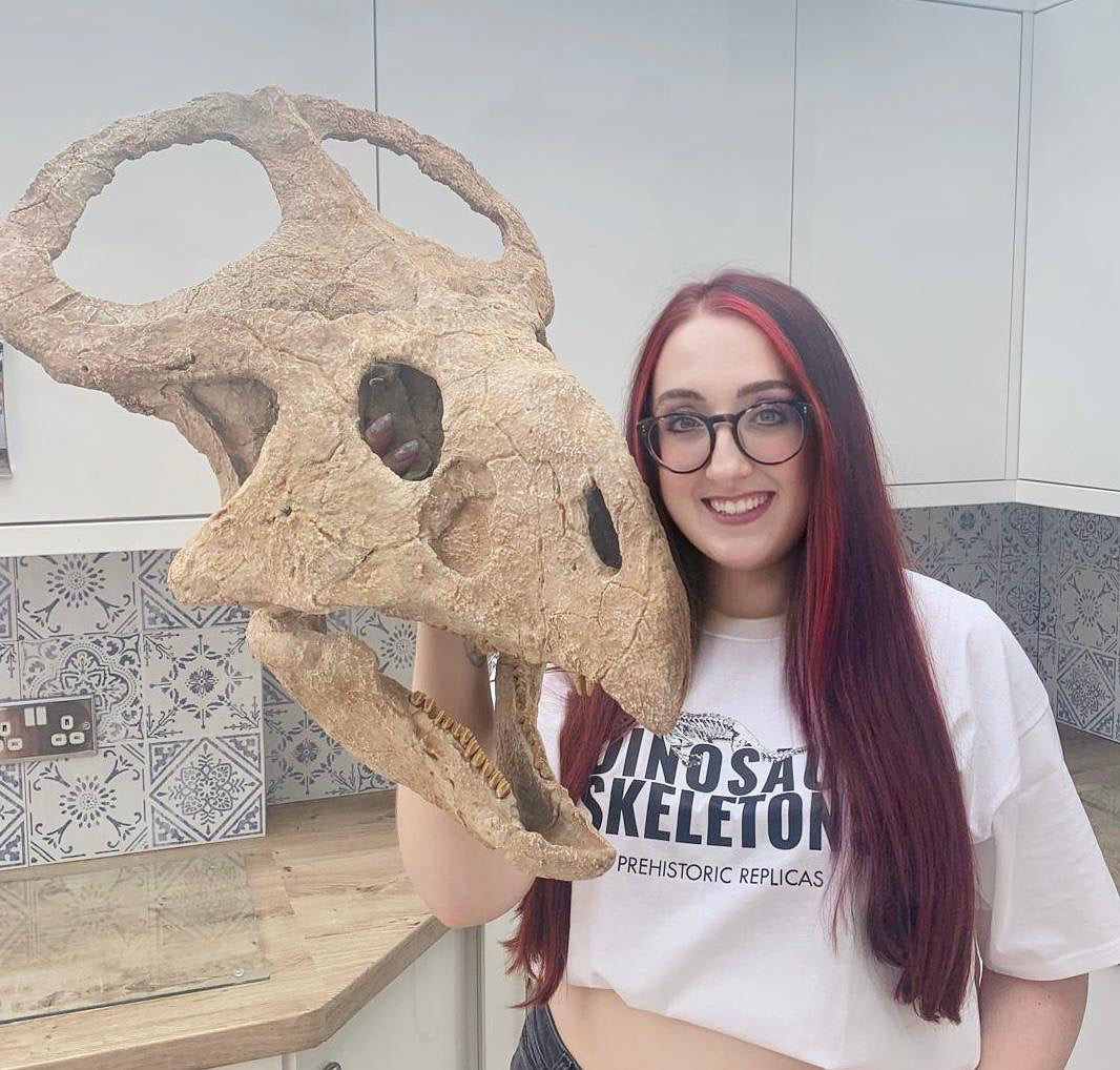 Protoceratops Deskop Model