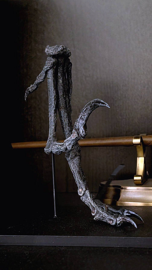 Bambiraptor Killing Claw Foot - Mounted on bespoke steel stand.