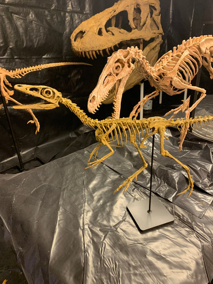 Compsognathus