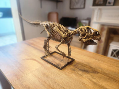 Psittacosaurus
