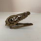 Microraptor Skull