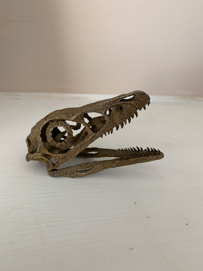 Microraptor Skull