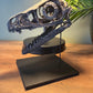 Bambiraptor Skull