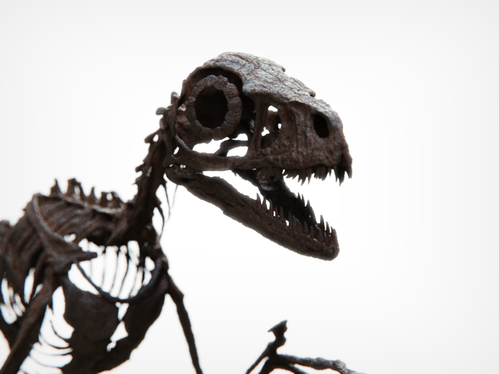 Bambiraptor Killing Claw Foot - Mounted on bespoke steel stand.