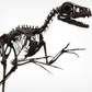 Bambiraptor feinbergi - Dromaeosaurid