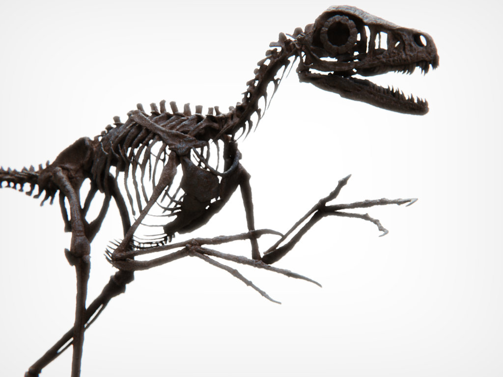 Bambiraptor Killing Claw Foot