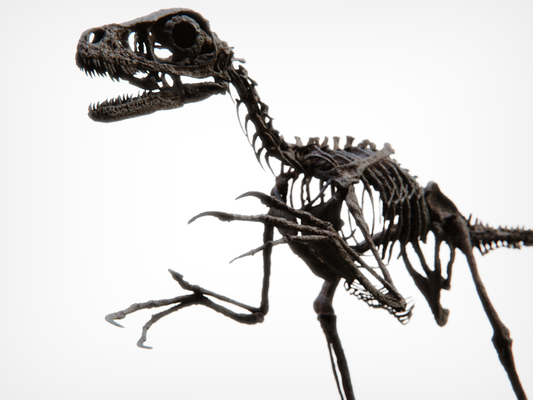 DIY KIT Bambiraptor feinbergi - Dromaeosaurid