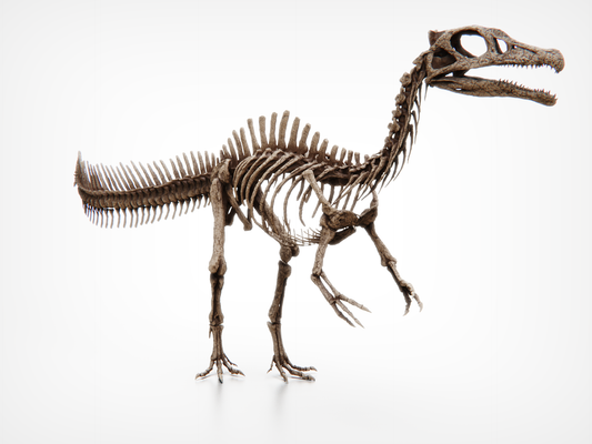 Juvenile Spinosaurus