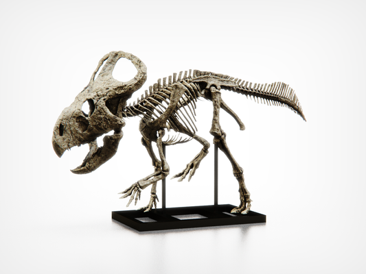 Protoceratops