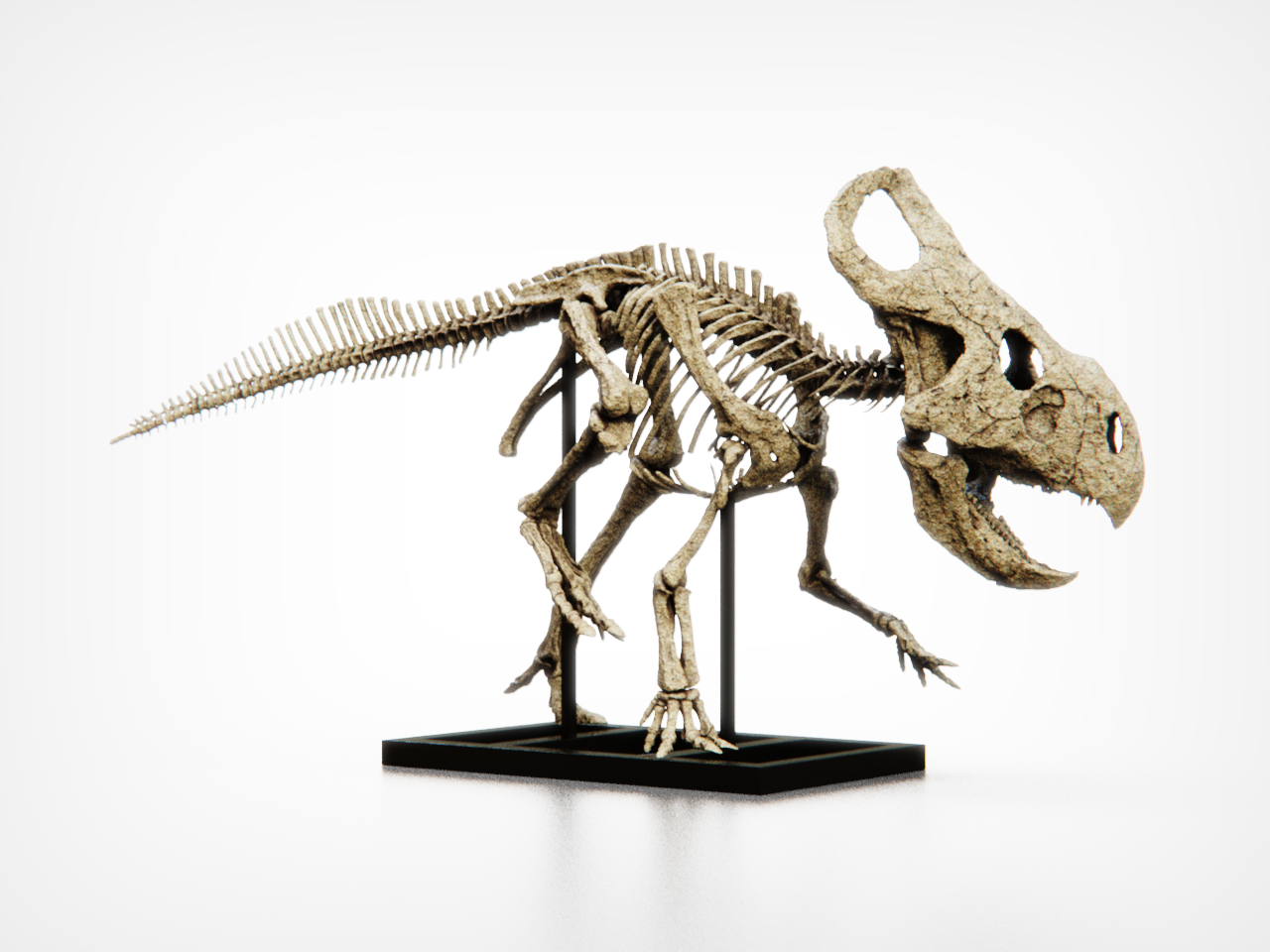 Protoceratops Deskop Model