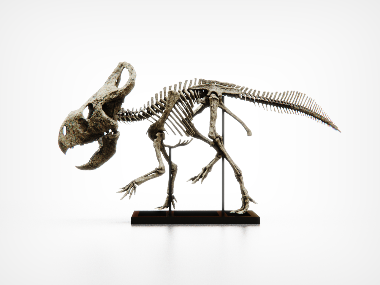 Protoceratops Deskop Model
