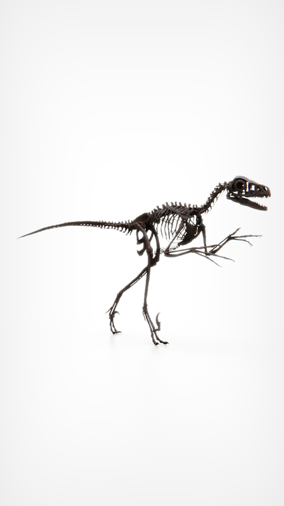 Bambiraptor Killing Claw Foot