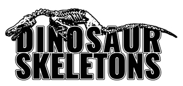 DINOSAUR SKELETONS