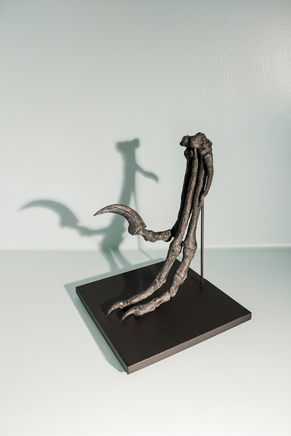 Bambiraptor Killing Claw Foot - Mounted on bespoke steel stand.