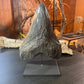 Black Megalodon Tooth On Metal Display Stand
