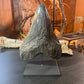 Black Megalodon Tooth On Metal Display Stand