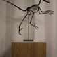 Bambiraptor feinbergi - Dromaeosaurid
