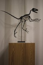 Bambiraptor feinbergi - Dromaeosaurid