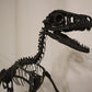 Bambiraptor feinbergi - Dromaeosaurid