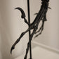 Bambiraptor feinbergi - Dromaeosaurid