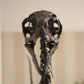 Bambiraptor feinbergi - Dromaeosaurid