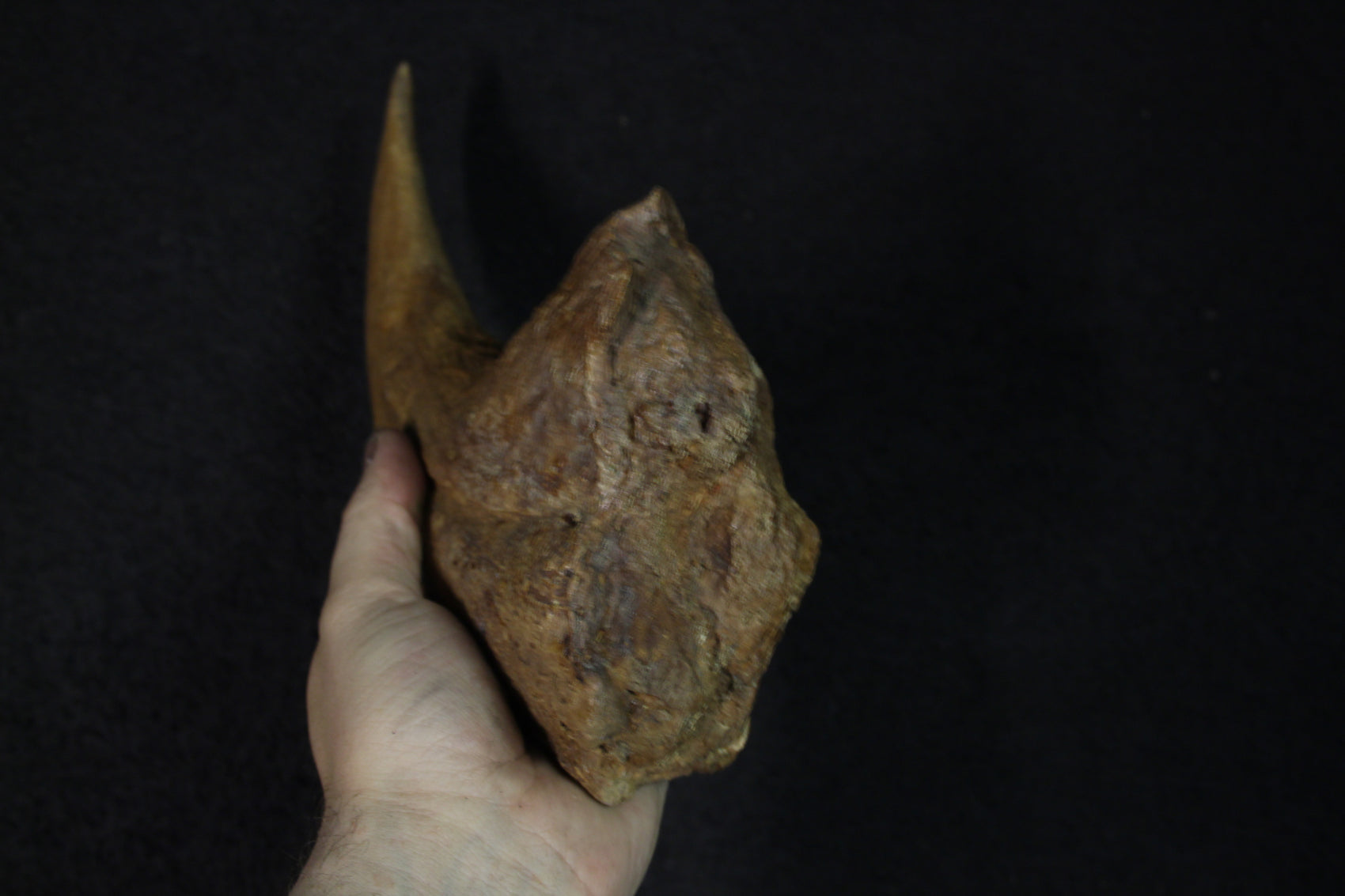 Griffe de Baryonyx Walkeri