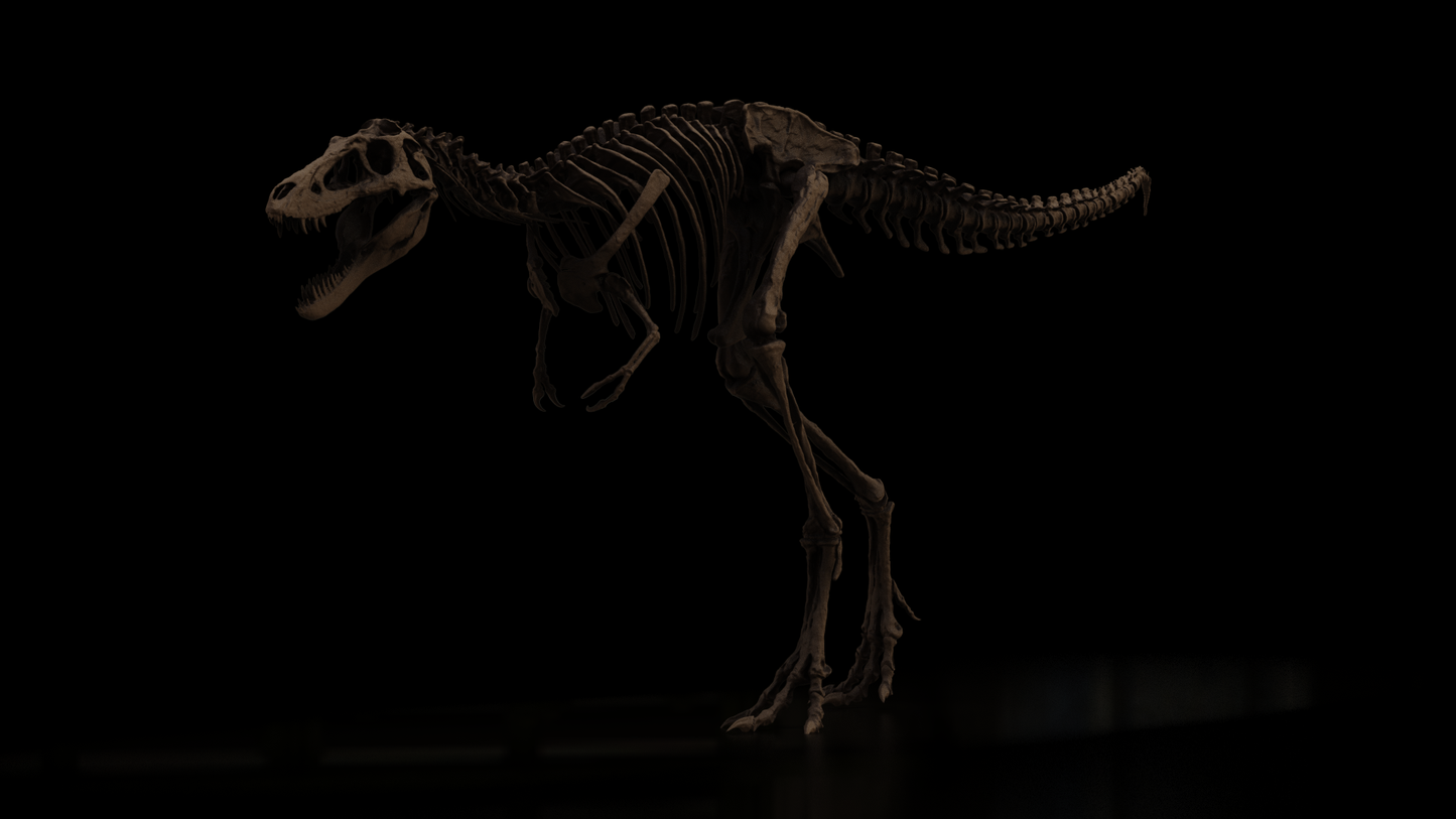 Nanotyrannus Lethaeus