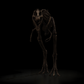 Nanotyrannus Lethaeus