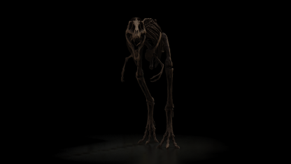 Nanotyrannus Lethaeus