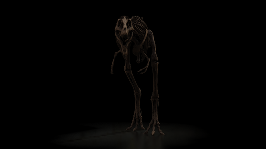 Nanotyrannus Lethaeus