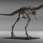 Nanotyrannus lethaeus