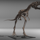 Nanotyrannus lethaeus