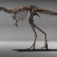 Nanotyrannus lethaeus