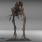 Nanotyrannus lethaeus