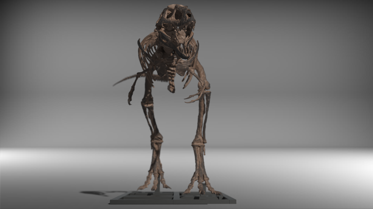 Nanotyrannus Lethaeus
