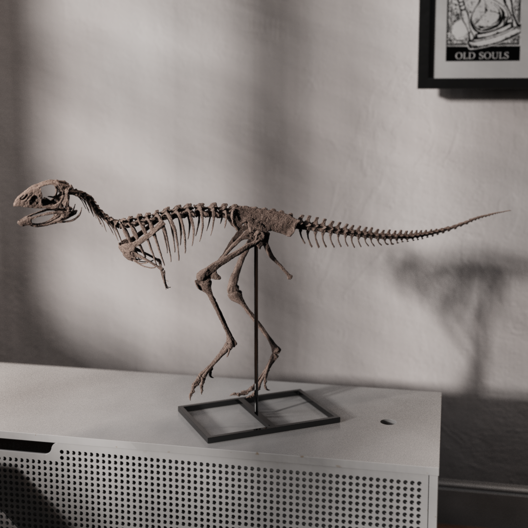 Berthasaura